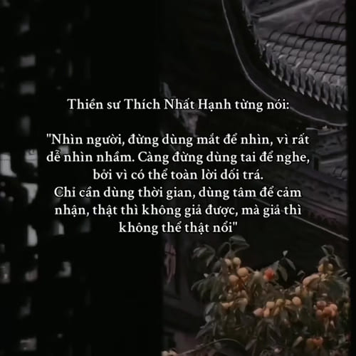 Cách Nhìn Người Sâu Sắc Để Thấu Hiểu Sự Thật Lời Dạy Của Thiền Sư Thích Nhất Hạnh Cách Nhìn Người Sâu Sắc Để Thấu Hiểu Sự Thật Lời Dạy Của Thiền Sư Thích Nhất Hạnh