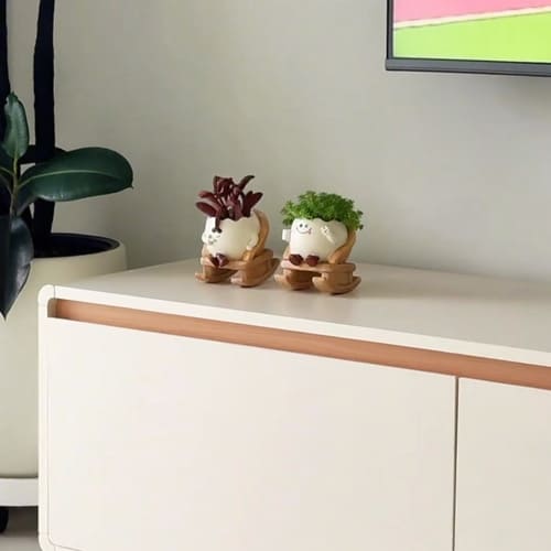 Chậu Cây Bằng Gốm Hình Trứng Ghế Bập Bấp Bằng Gỗ Trang Trí Kệ Tivi Tinh Tế