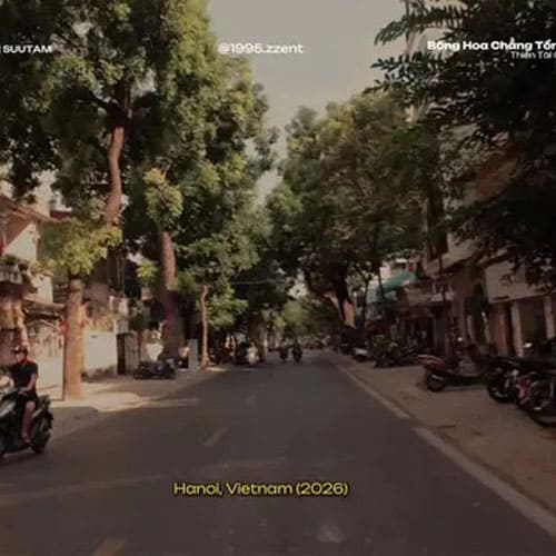 Lời Bài Hát Bông Hoa Chẳng Tồn Tại Cover Giai Điệu Nhẹ Nhàng Đầy Cảm Xúc Lời Bài Hát Bông Hoa Chẳng Tồn Tại Cover Giai Điệu Nhẹ Nhàng Đầy Cảm Xúc