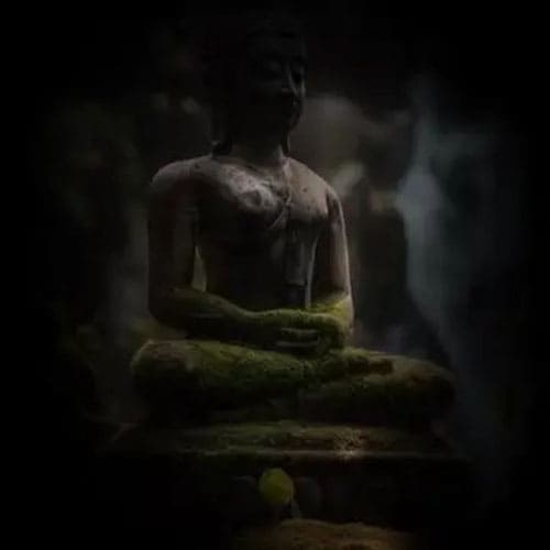 Ý Nghĩa Sống Sâu Sắc Về Sự Tự Tin Và Lòng Tin Vào Chính Bản Thân Mình Ý Nghĩa Sống Sâu Sắc Về Sự Tự Tin Và Lòng Tin Vào Chính Bản Thân Mình